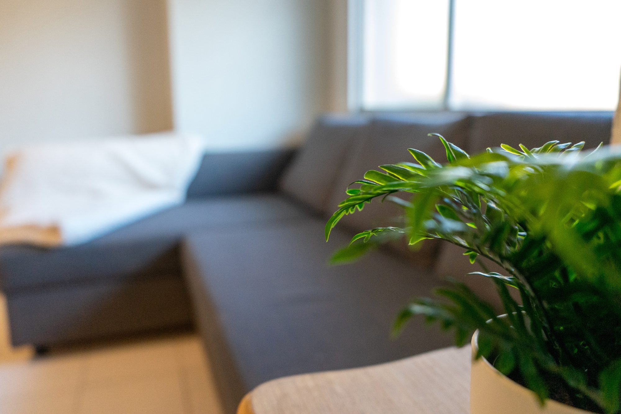 Piso Céntrico de 4 Habitaciones – Juan Manuel Rodriguez Correa/Cruz Roja