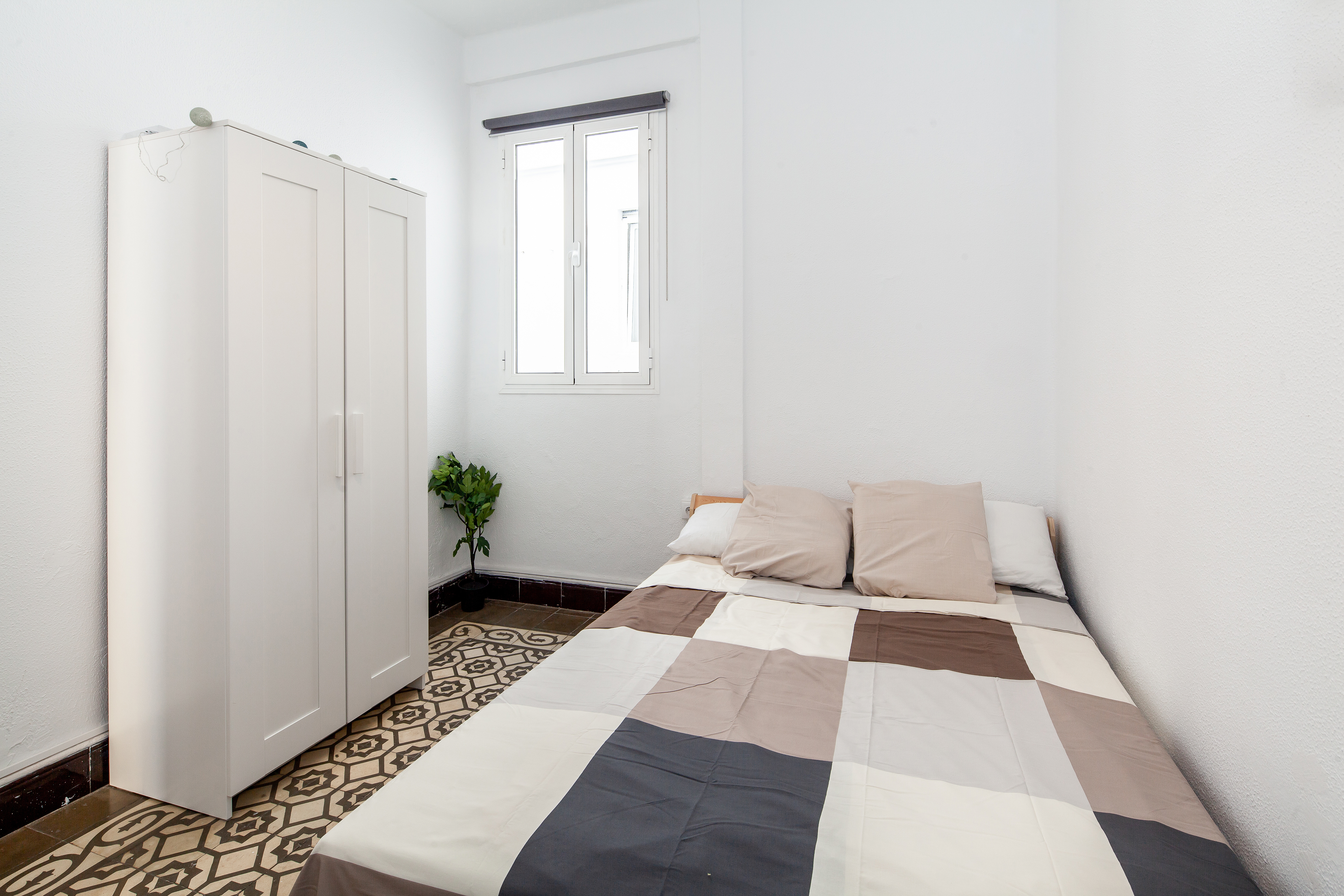 Single room for Erasmus students in Centro Histórico, Seville