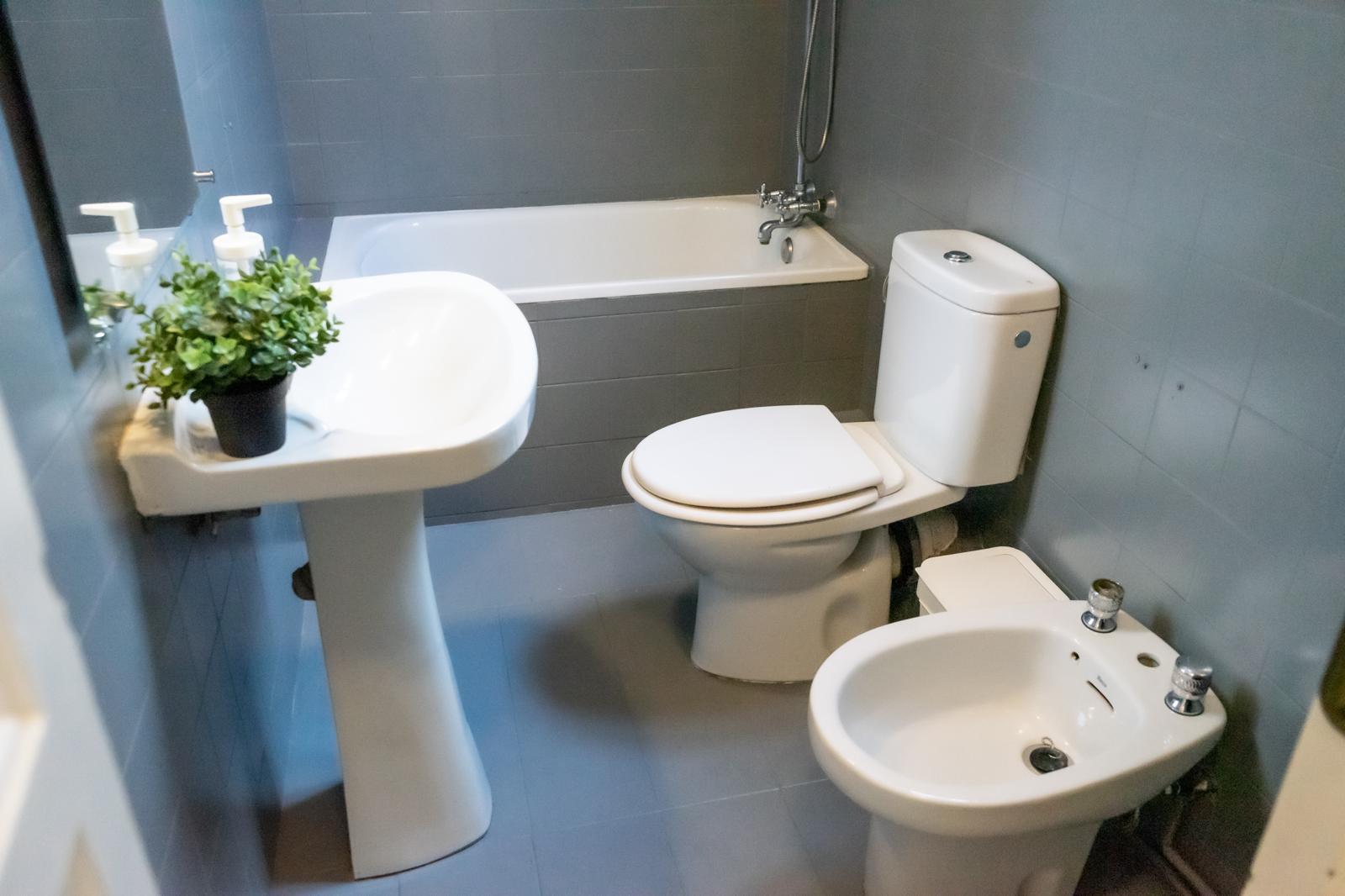 Habitación para estudiantes en Centro Histórico, Sevilla