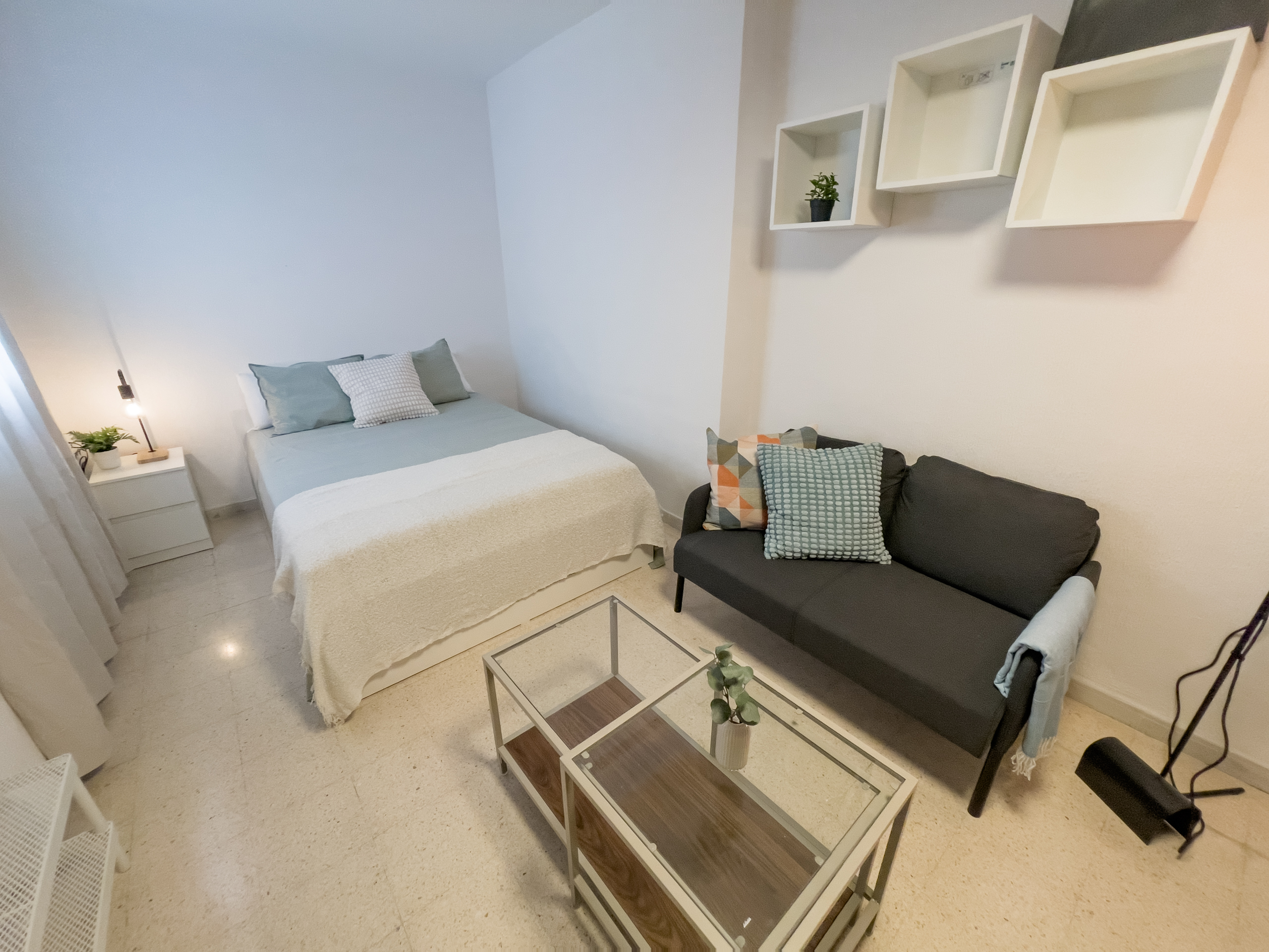 Double room for Erasmus students in Triana, Seville